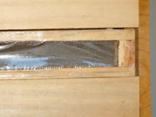 Récolte de la propolis verte